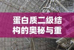 蛋白质二级结构的奥秘与重要性探究