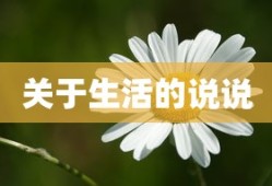 火影忍者ol手游攻略2024