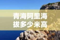 青海阿里海拔多少米高