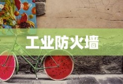 新时代优秀少年的辉煌之路——记一位杰出少年的主要事迹