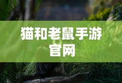 猫和老鼠手游官网