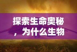 团徽的使用场合