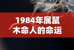 海贼王无双3秘宝事件和传奇度攻略