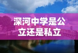 深河中学是公立还是私立