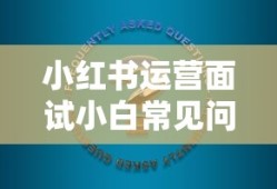 雅阁2.0t