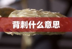 乔任梁几岁出道