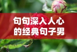 句句深入人心的经典句子男