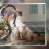 开放空间可模块映像推荐