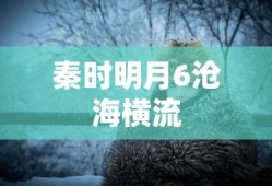 秦时明月6沧海横流