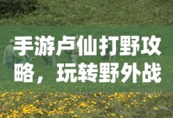 揭秘X车标背后的神秘面纱