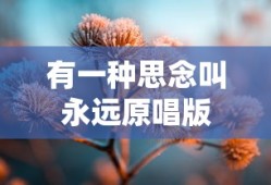 有一种思念叫永远原唱版