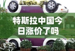 特斯拉中国今日涨价了吗