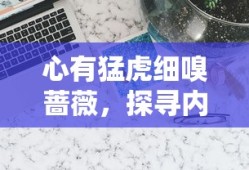 战龙三国坐骑进阶表进阶数据