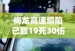 判断句的标志