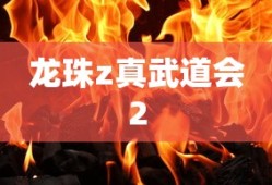 龙珠z真武道会2