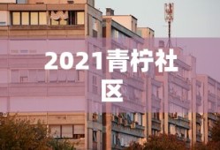 禁忌1980满天星凯·帕克