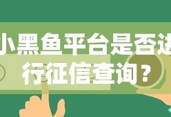 小黑鱼平台征信查询情况