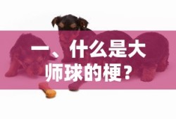 大师球的梗解析，探秘动漫与游戏中的神秘宝物