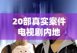 20部真实案件电视剧内地