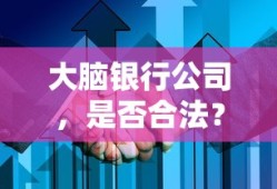 大脑银行公司，合法性全面解析与探讨