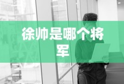 徐帅是哪个将军