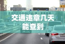交通违章几天能查到