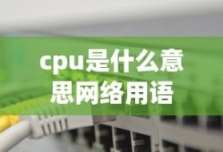 秦时明月星魂年龄