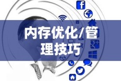 fate圣女贞德