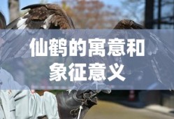 仙鹤的寓意和象征意义