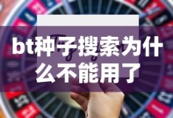 bt种子搜索为什么不能用了
