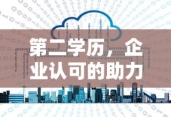 雪弗莱乐驰1.0