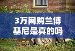 3万网购兰博基尼是真的吗