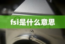 fsi是什么意思