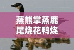 cctv5直播观看高清