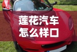 莲花汽车怎么样口碑怎么样
