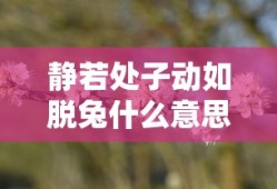 静若处子动如脱兔什么意思?