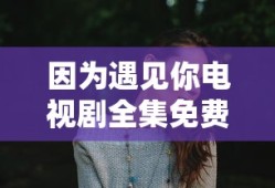 因为遇见你电视剧全集免费高清