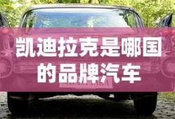 凯迪拉克是哪国的品牌汽车