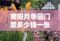 爱情悠悠药草香电视剧全集在线观看