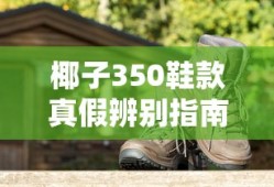 椰子350鞋款真假辨别指南