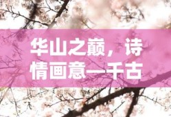 传递温暖，明信片上的温馨祝福语