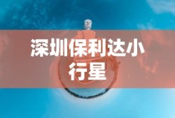 深圳保利达小行星