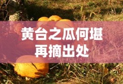黄台之瓜何堪再摘出处