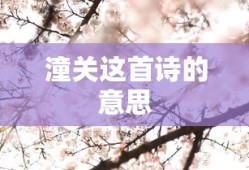 潼关这首诗的意思