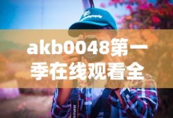 akb0048第一季在线观看全集