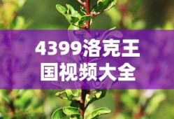 4399洛克王国视频大全