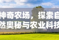 左耳电影剧情介绍详细