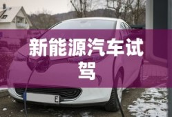 大唐女将樊梨花电视剧全集在线观看