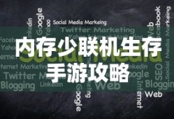 内存少联机生存手游攻略，优化策略与技巧分享