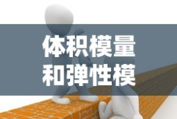 特种兵之影子刺客楚阳